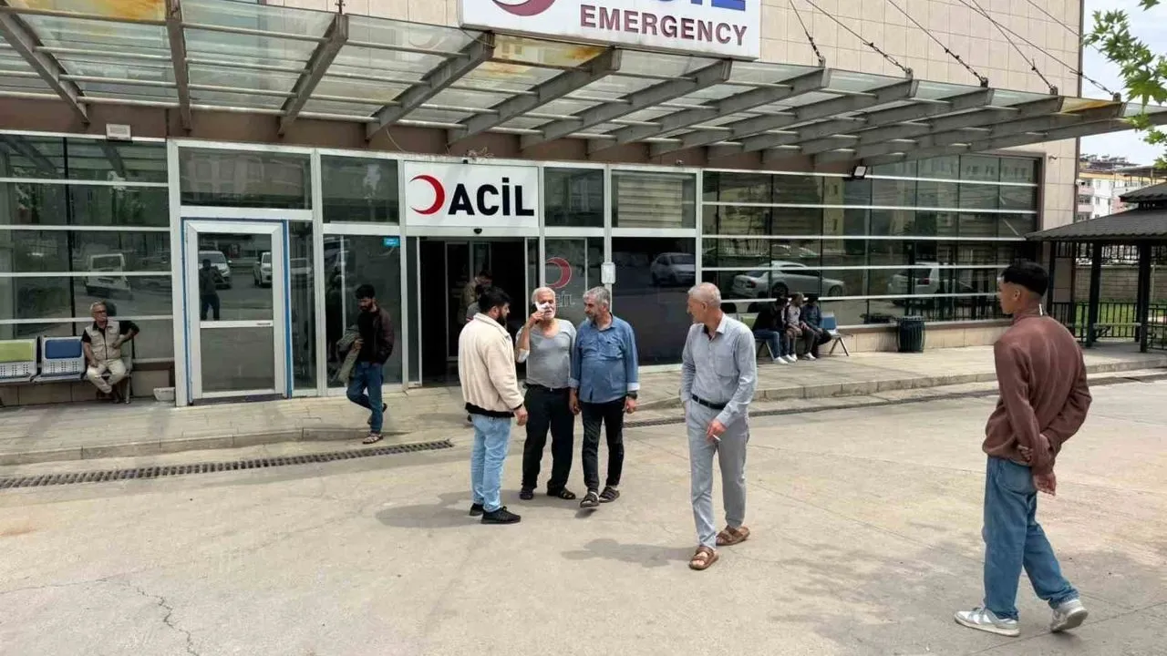 Şanlıurfa'da Köpek Saldırısına Uğrayan Yaşlı Adam Yaralandı