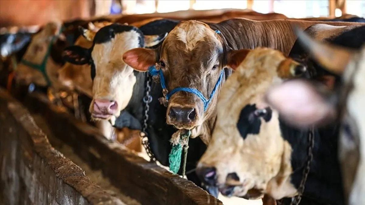 Kurban Bayramı Öncesinde Marketleri Denetleyin Çağrısı
