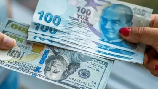 Döviz Mevduatlarındaki Düşüş Hız Kesti